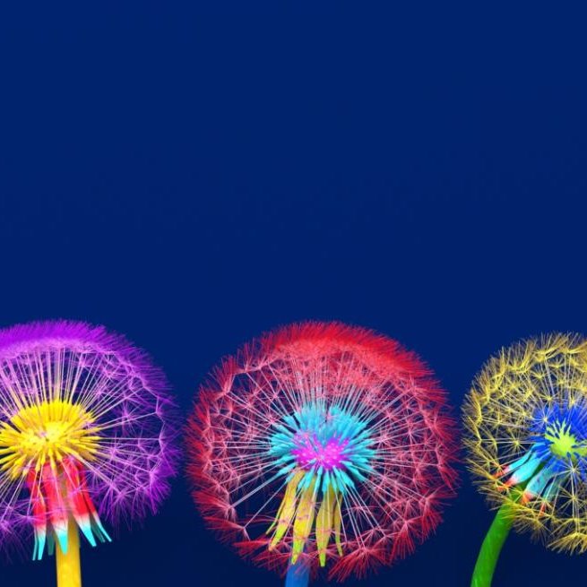 iStock_c_Julia-Garan