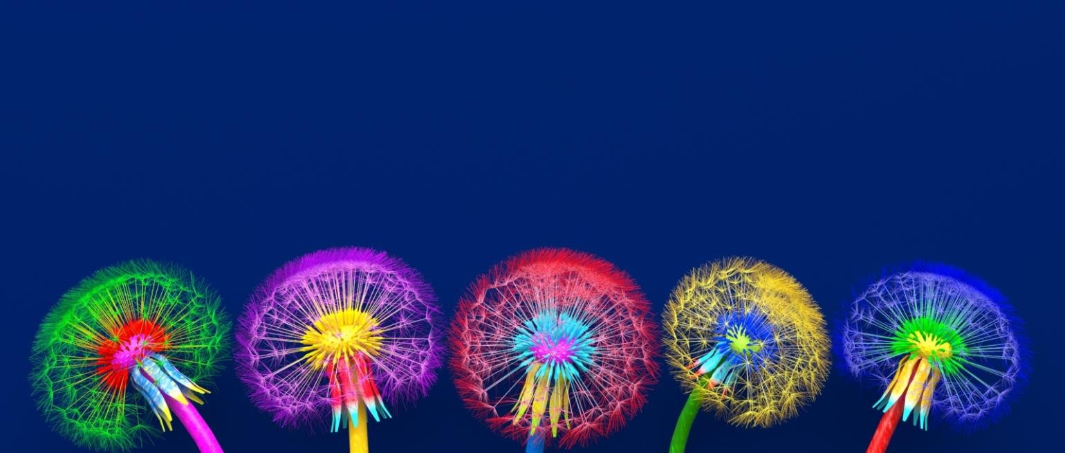 iStock_c_Julia-Garan